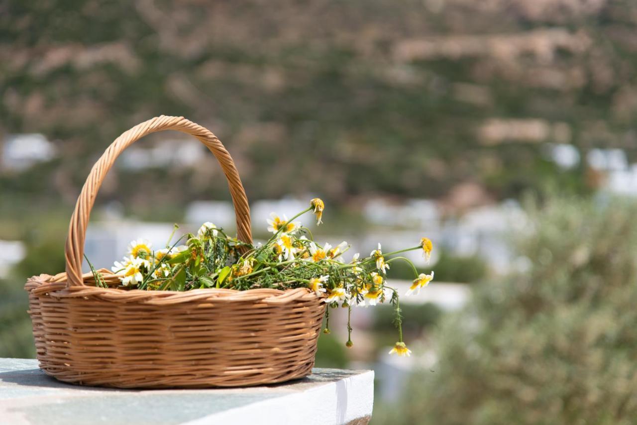 Thimari Villas Vathi  Buitenkant foto